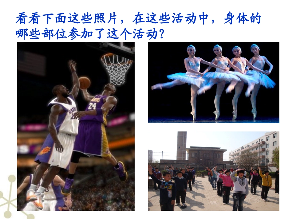 神经系统的组成-人教新_第1页