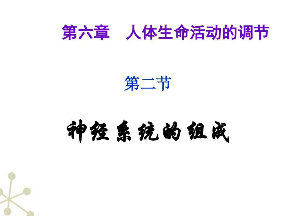 神经系统的组成-人教新_第2页