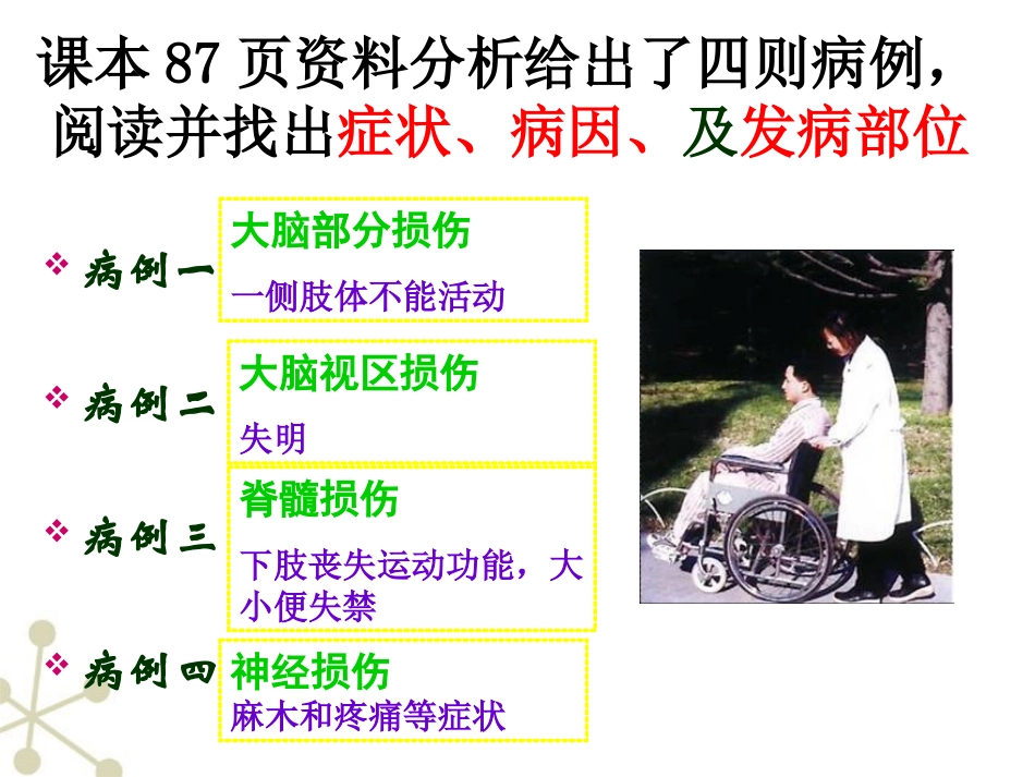 神经系统的组成-人教新_第3页