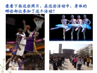 神经系统的组成-人教新