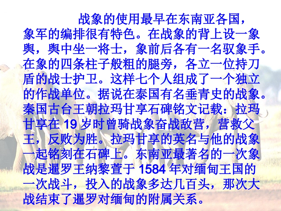 最后一头战象PPT_第3页
