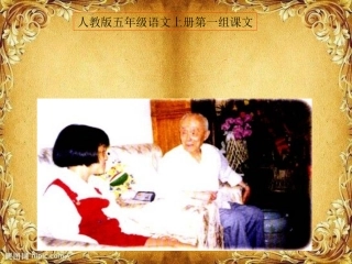 《小苗与大树的对话》PPT课件