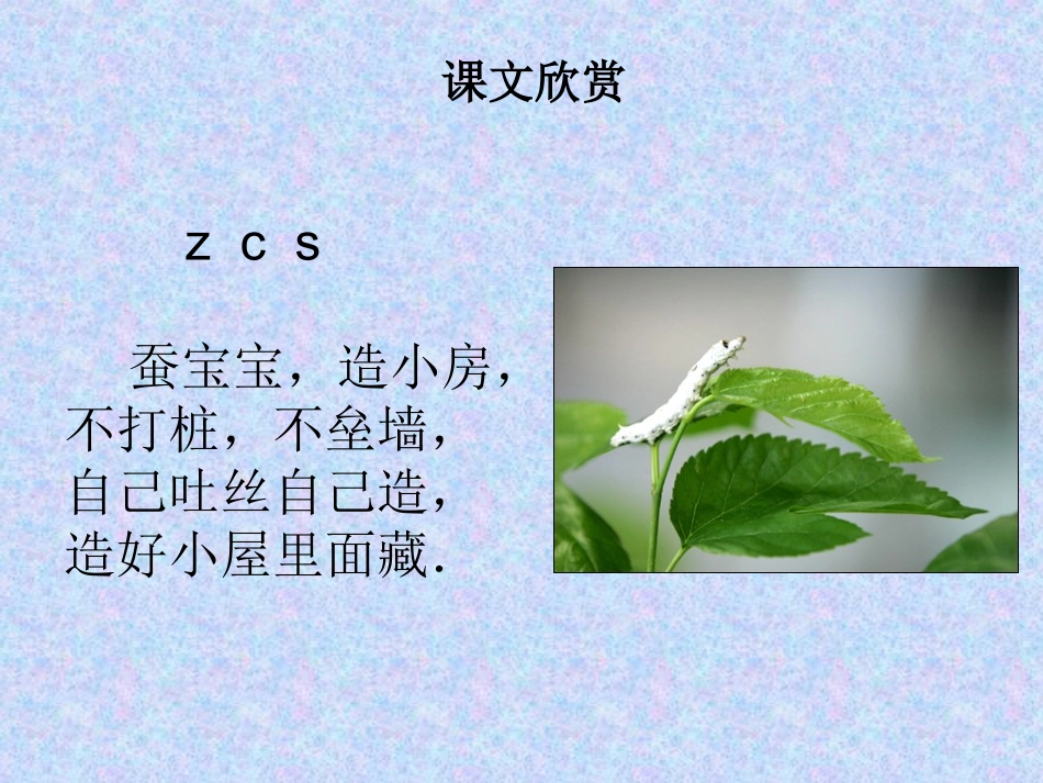 2015春湘教版语文一上《z-c-s》ppt课件1_第3页