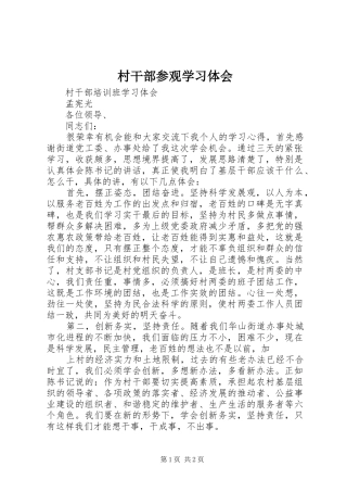 村干部参观学习体会