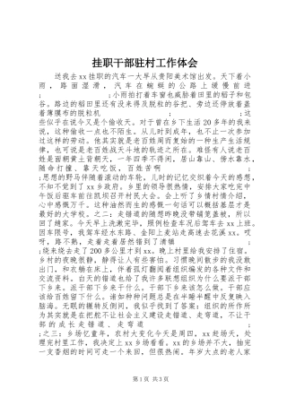 挂职干部驻村工作体会