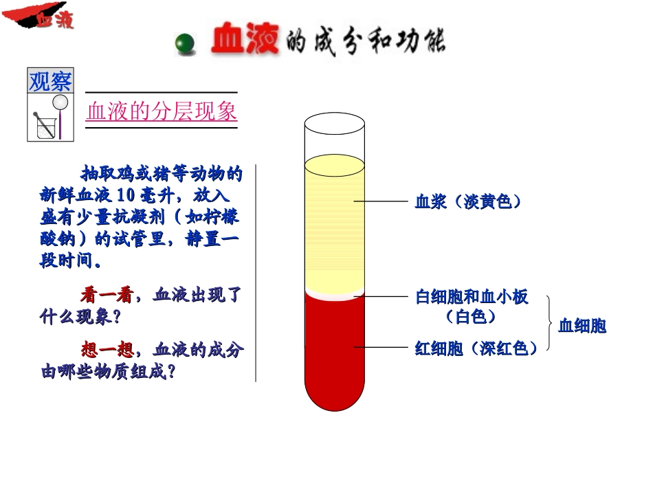 七年级下册第十章第一节-血液和血型(_第3页