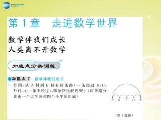 【北大绿卡】2014年秋七年级数学上册第1章走进数学世界教师讲练课件（新版）华东师大版