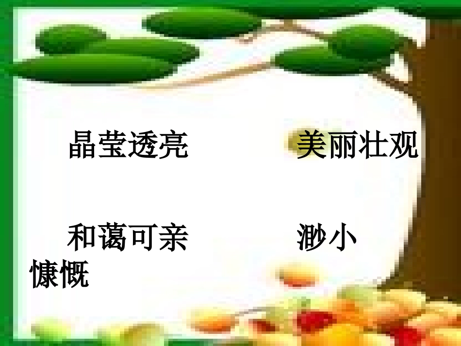 只有一个地球花萍_第3页