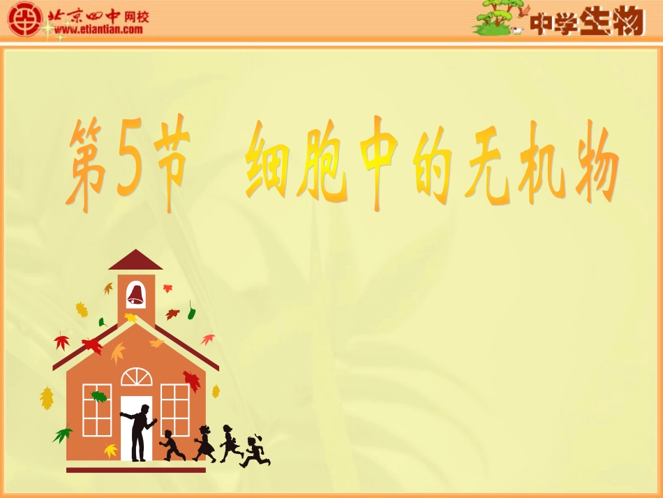 细胞中的无机物1_第1页