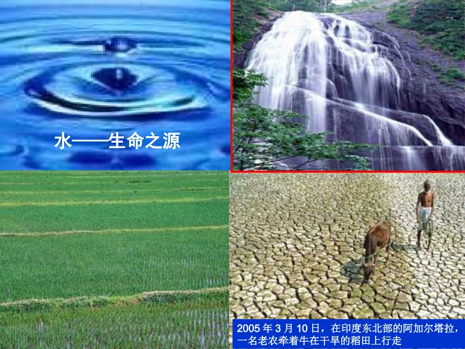 细胞中的无机物1_第2页