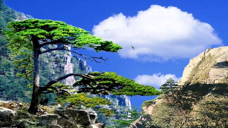 (部编)初中语文人教2011课标版七年级下册《望岳》教学课件_第2页