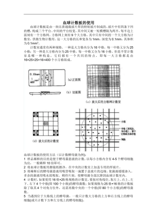 血球计数板使用