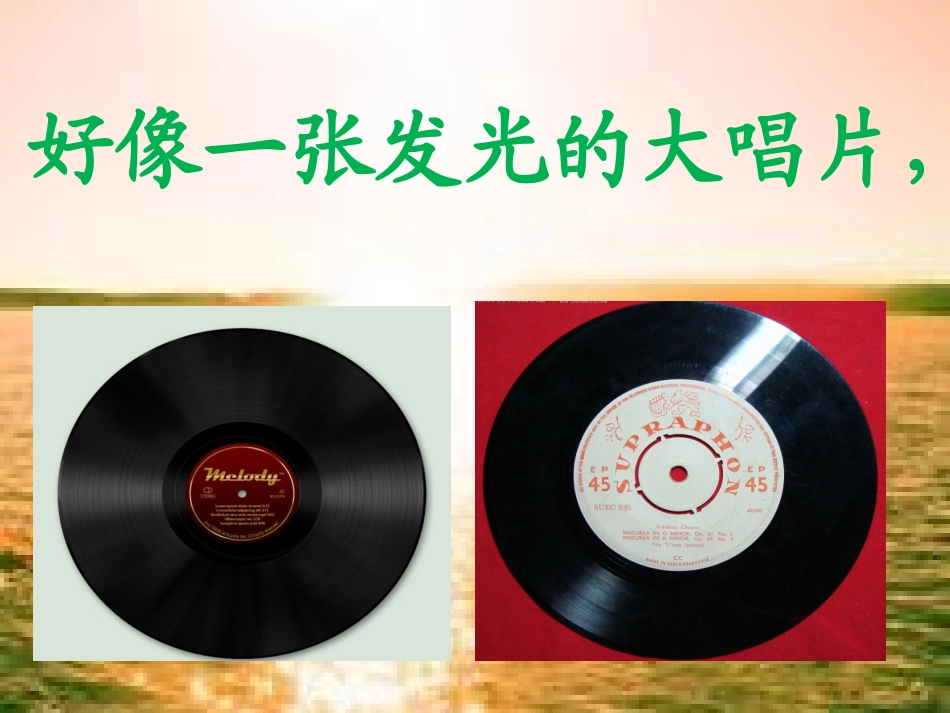 《湖》第二句赏析_第3页