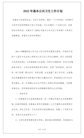 2022年基本公共卫生工作计划