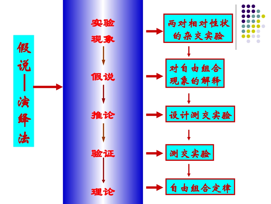 孟德尔的豌豆杂交实验(二)1_第2页