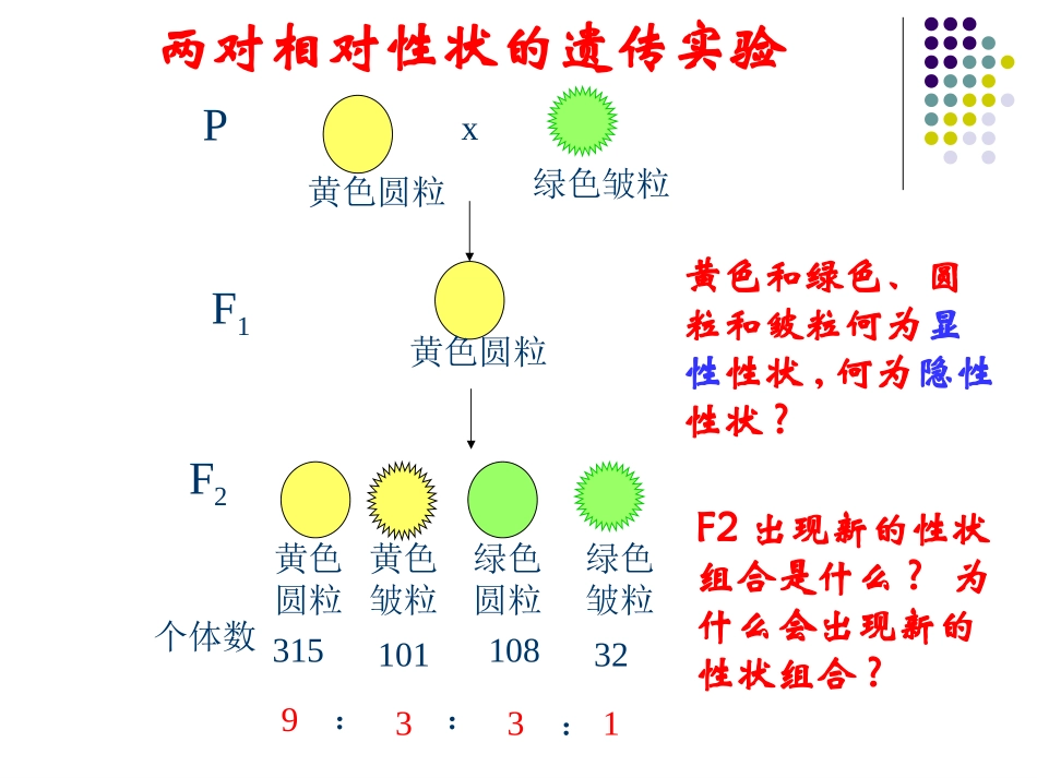 孟德尔的豌豆杂交实验(二)1_第3页