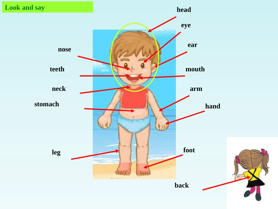 八下Unit-1Section-A1-ppt_第3页