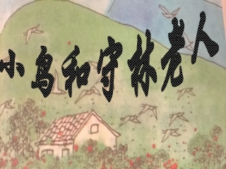 14《小鸟和守林老人》ppt课件1-4