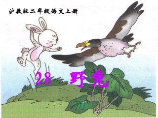 小学语文二年级课件-野兔-沪教版