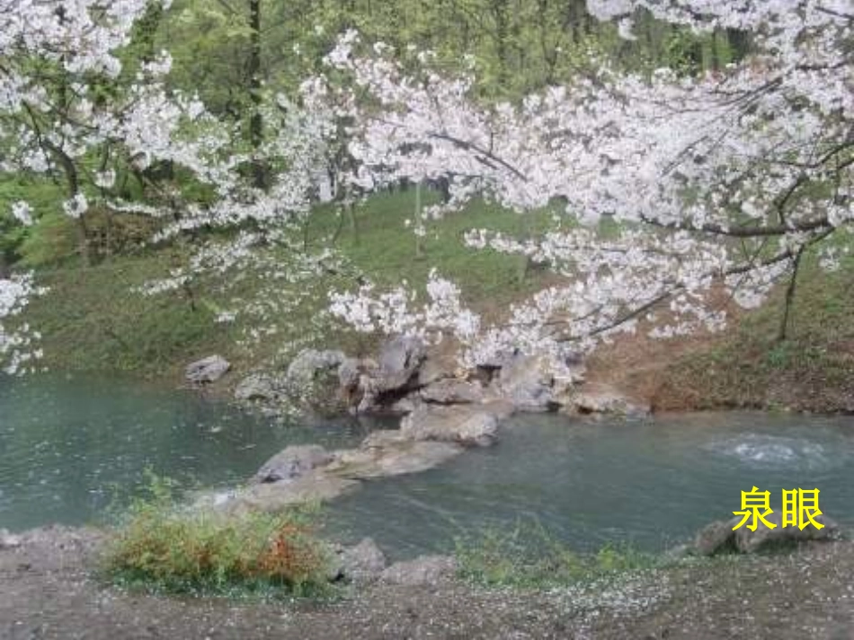 小学语文一年级课件-小山泉的心愿-沪教版_第3页