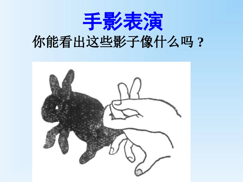 32.1-投影-_第2页