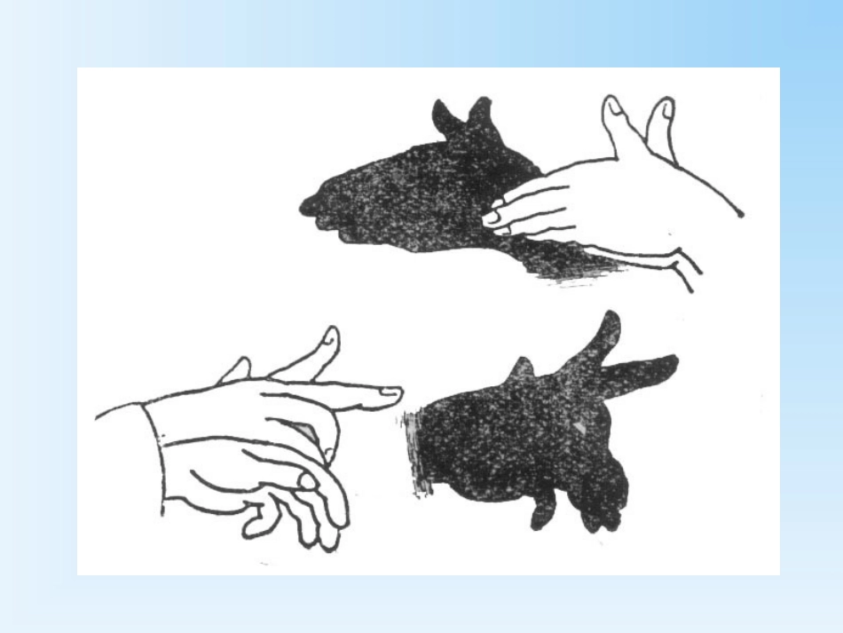 32.1-投影-_第3页