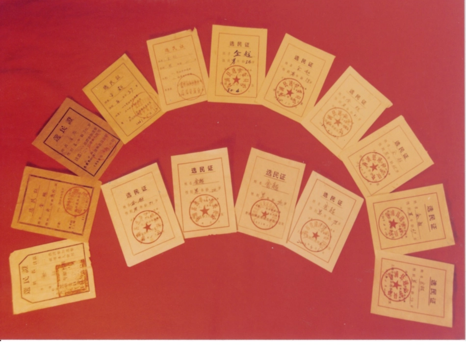 教科版九年级第十一课选票的分量课件（23张）_第3页