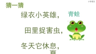 识字3《3、小青蛙》1
