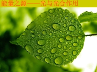 5.4.2光合作用的探究历程和过程