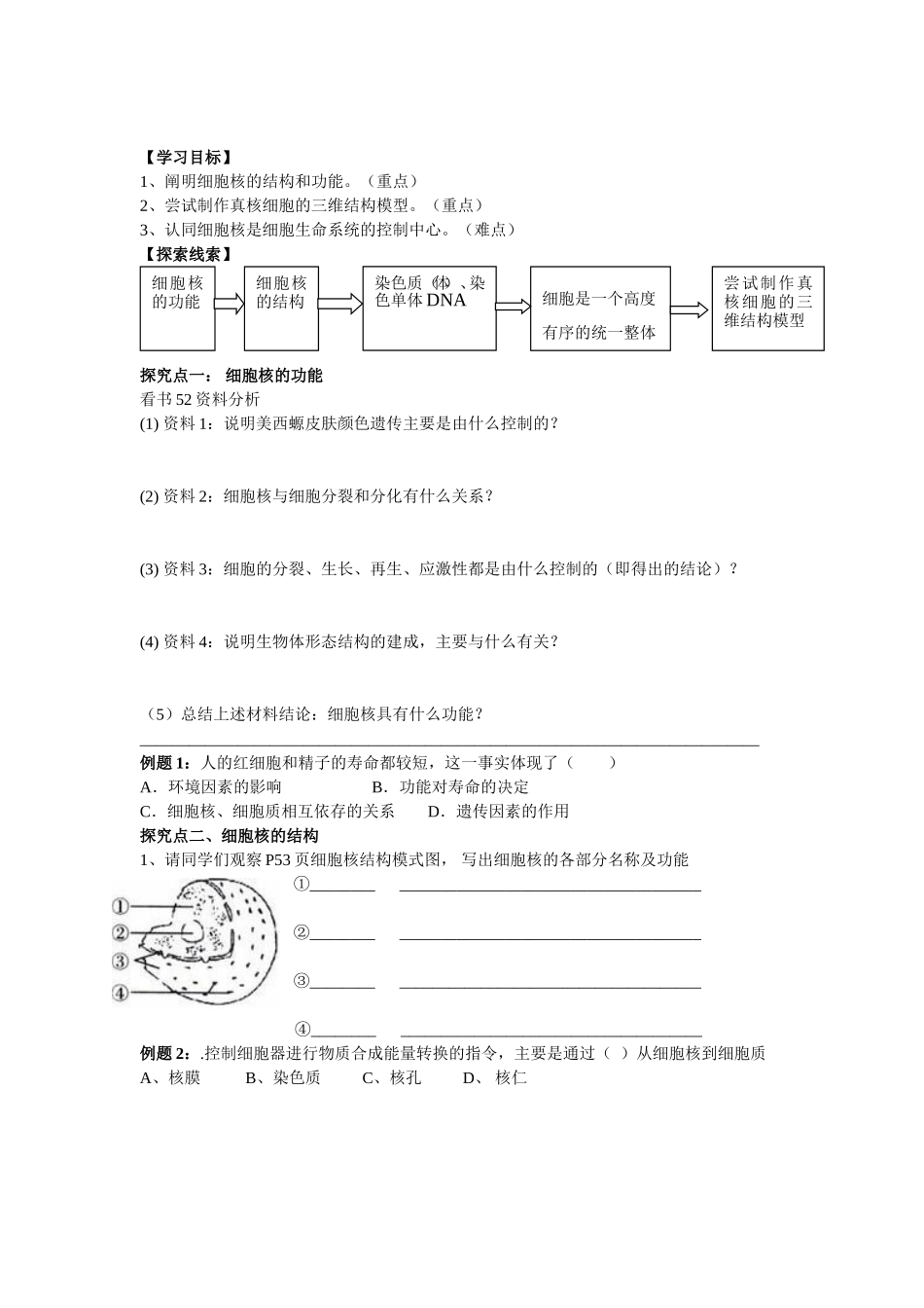 第三节--细胞核_第2页