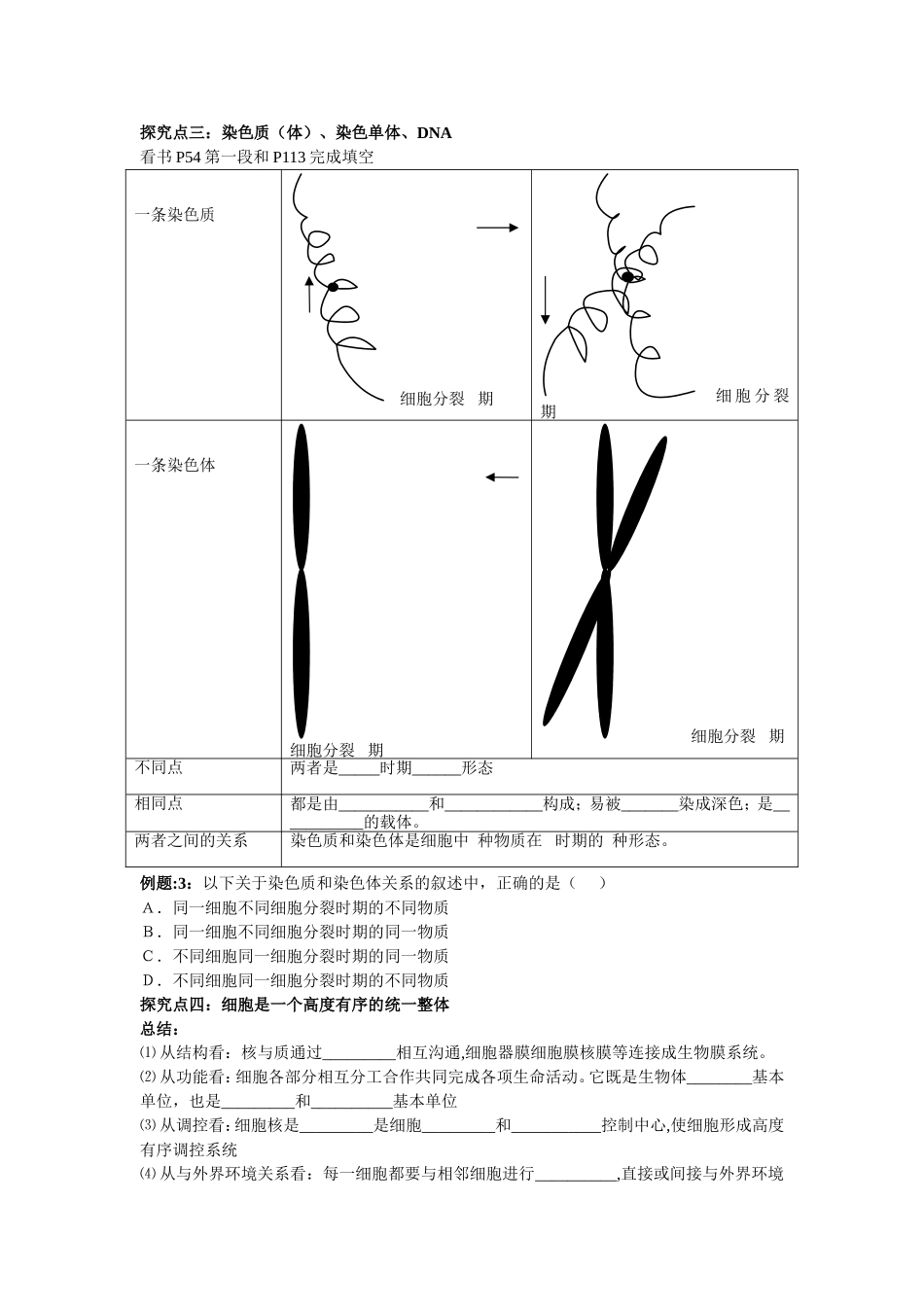 第三节--细胞核_第3页