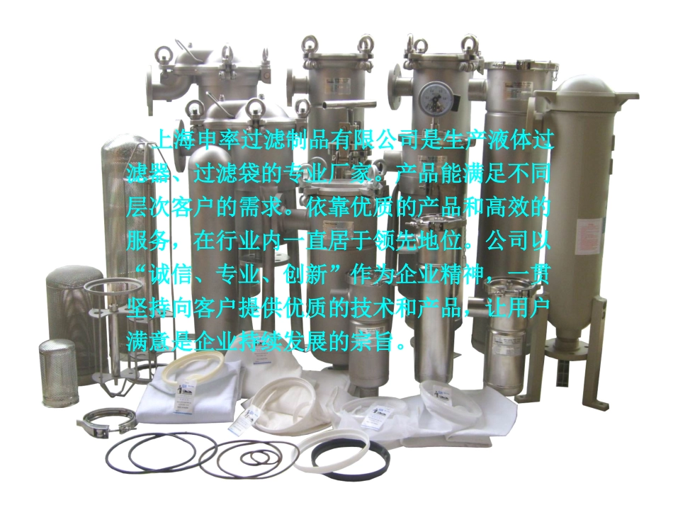 上海申率过滤_第2页