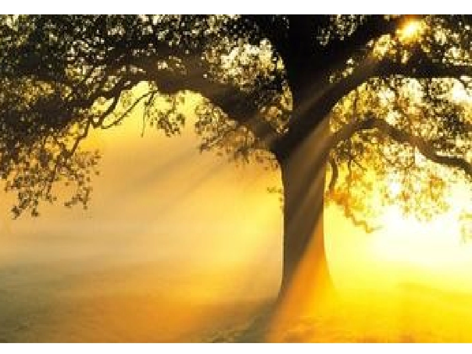 《五颜六色的伞》课件_第2页