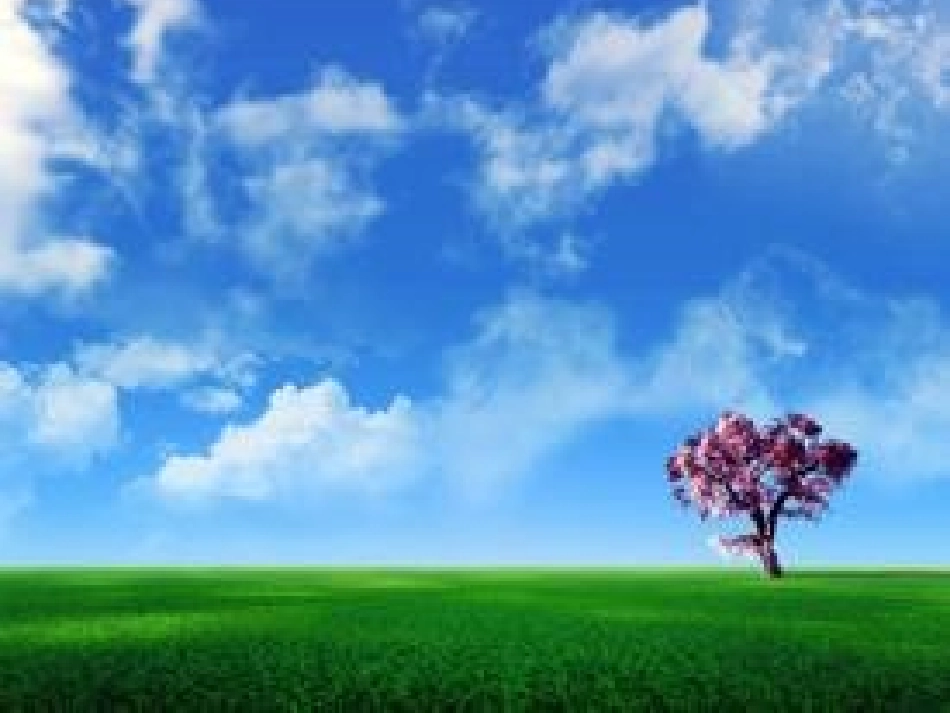 《五颜六色的伞》课件_第3页