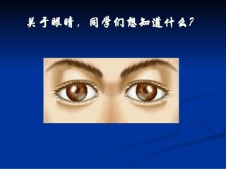 眼睛的视物原理