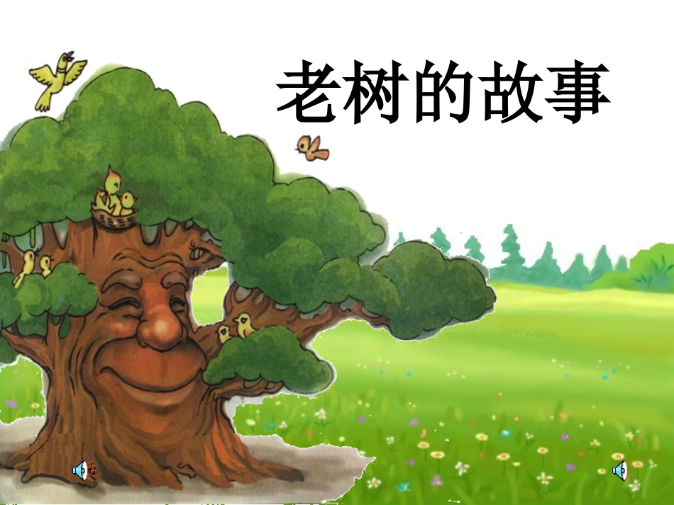 《老树的故事》_第1页