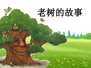 《老树的故事》