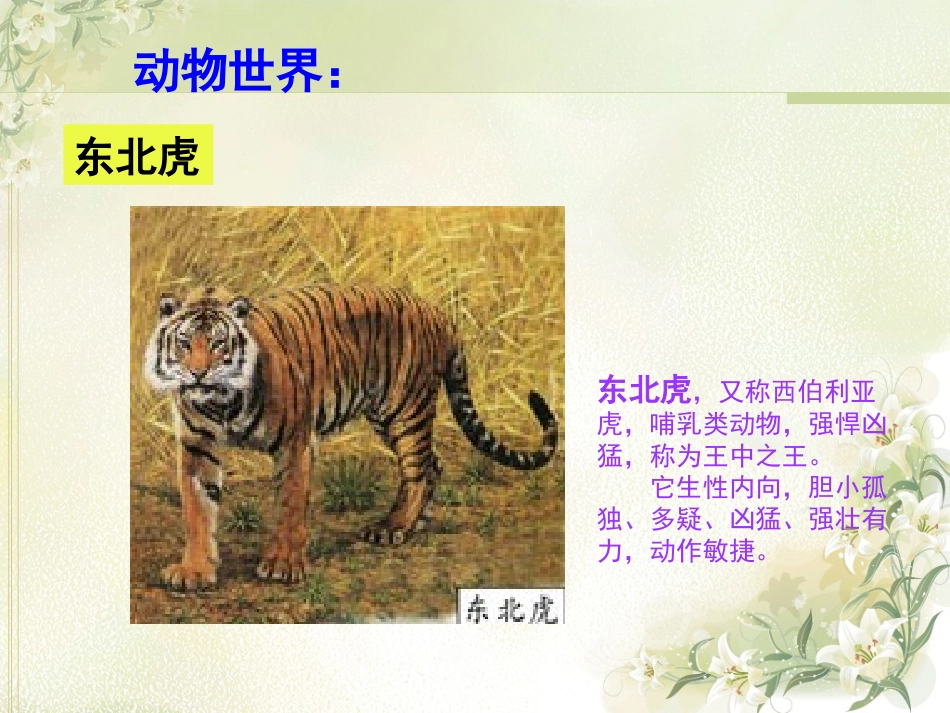 万以内数的加法_第3页