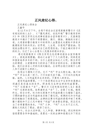 正风肃纪心得、