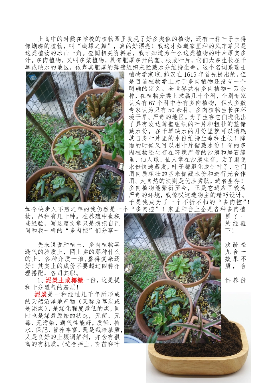 多肉植物个人养殖经验分享_第2页