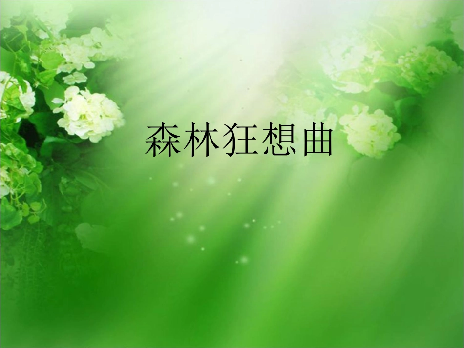 《森林狂想曲》课件1_第1页