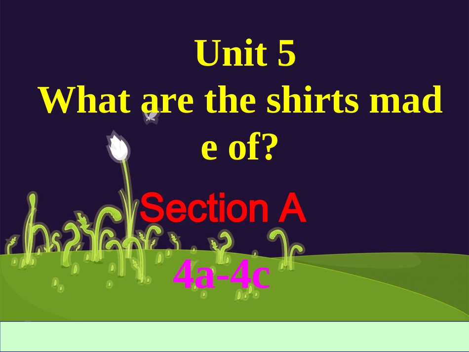 2014九年级英语(全一册)Unit5SectionAGrammar-4c_第3页