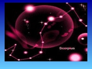 闪烁的小星(课件)