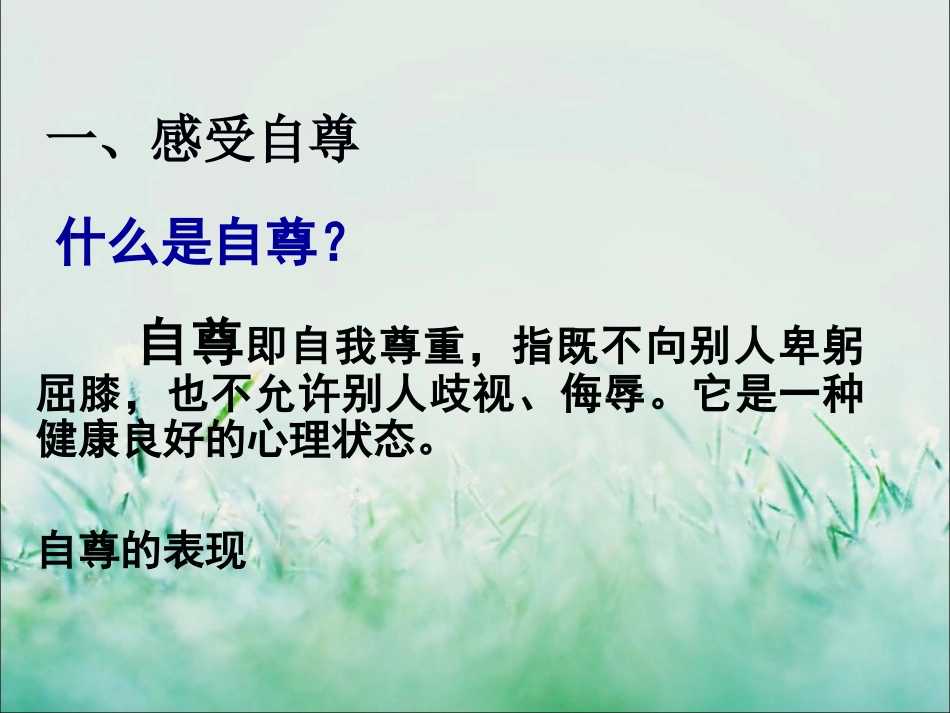 《自尊是人人都需要的》课件3_第2页