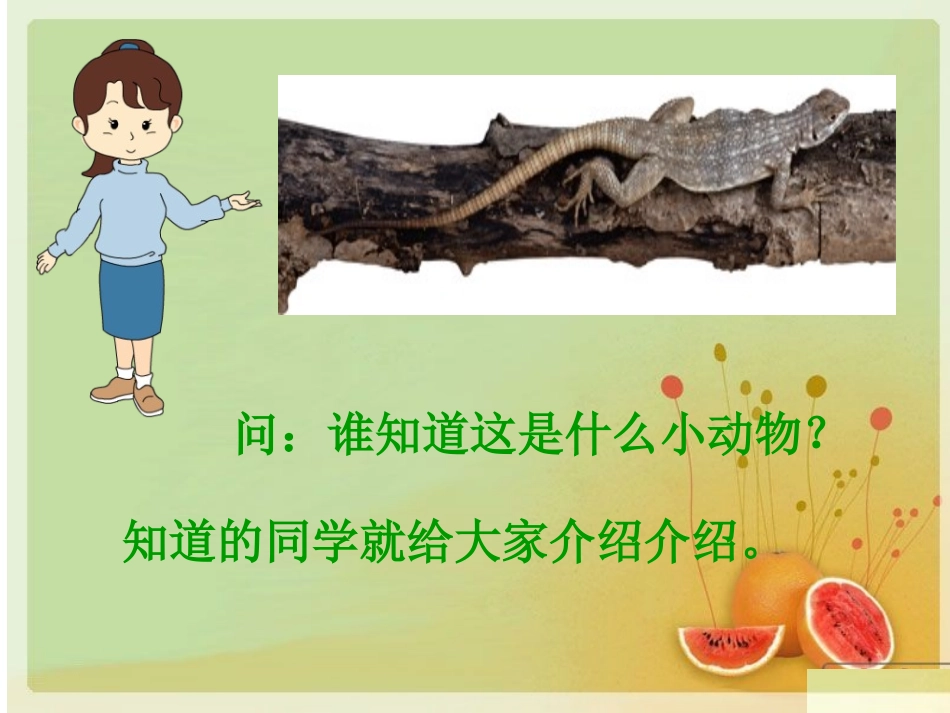 17小壁虎借尾巴课件_第2页