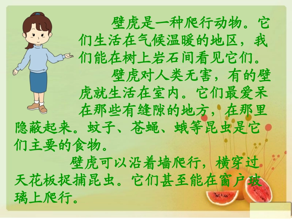 17小壁虎借尾巴课件_第3页