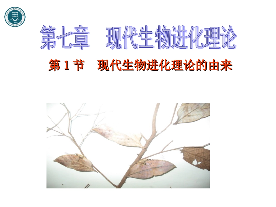 现代生物进化理论的由来_第1页