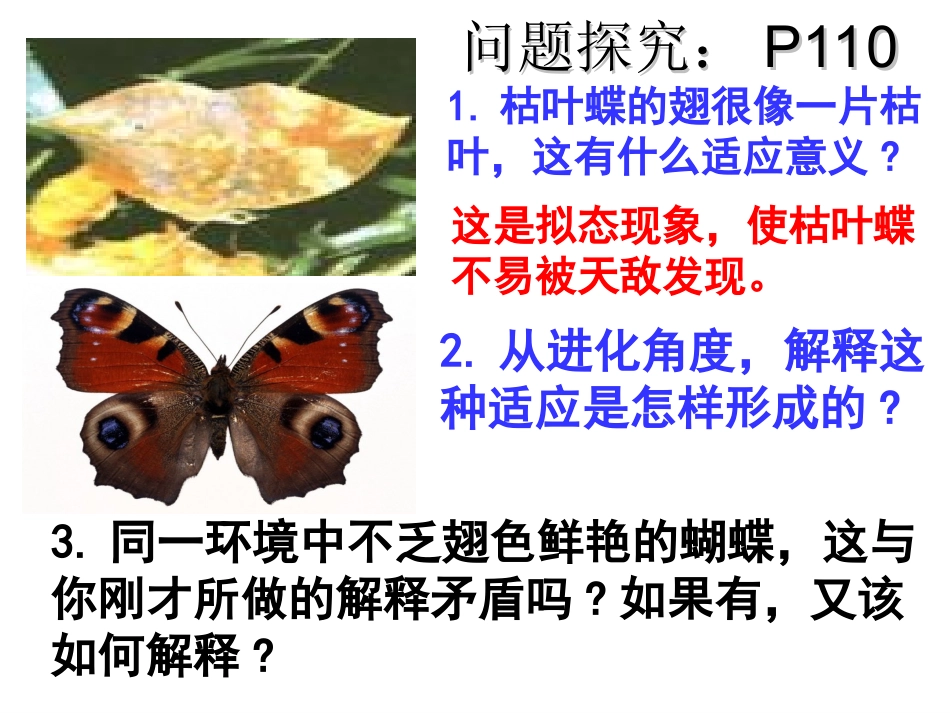 现代生物进化理论的由来_第2页