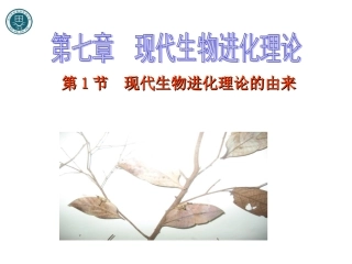 现代生物进化理论的由来