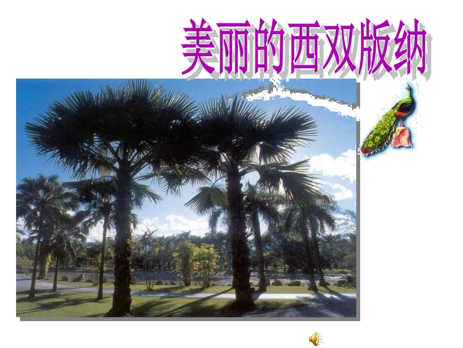 美丽的西双版纳1_第3页